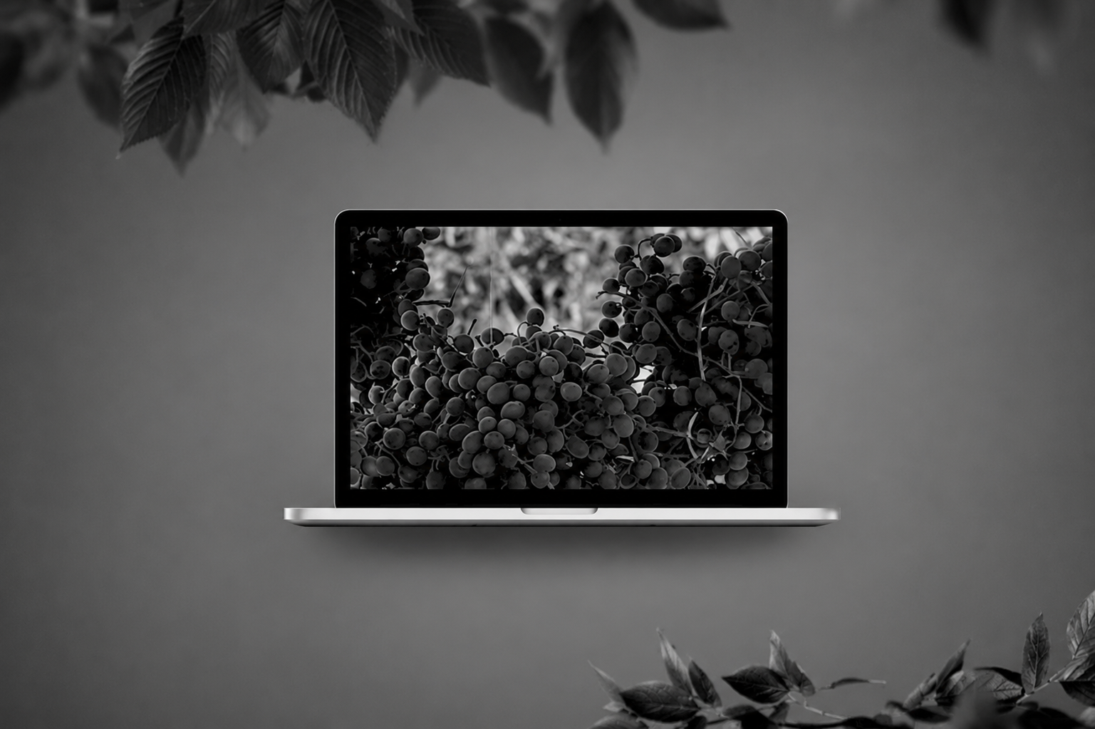 Tsintsiva Digital — estúdio